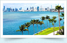 International Travel
